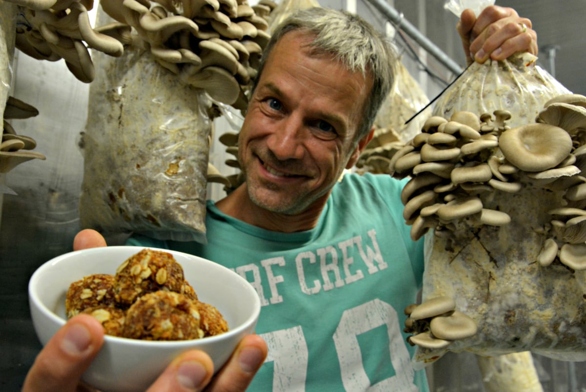 Bransbest - Over ons